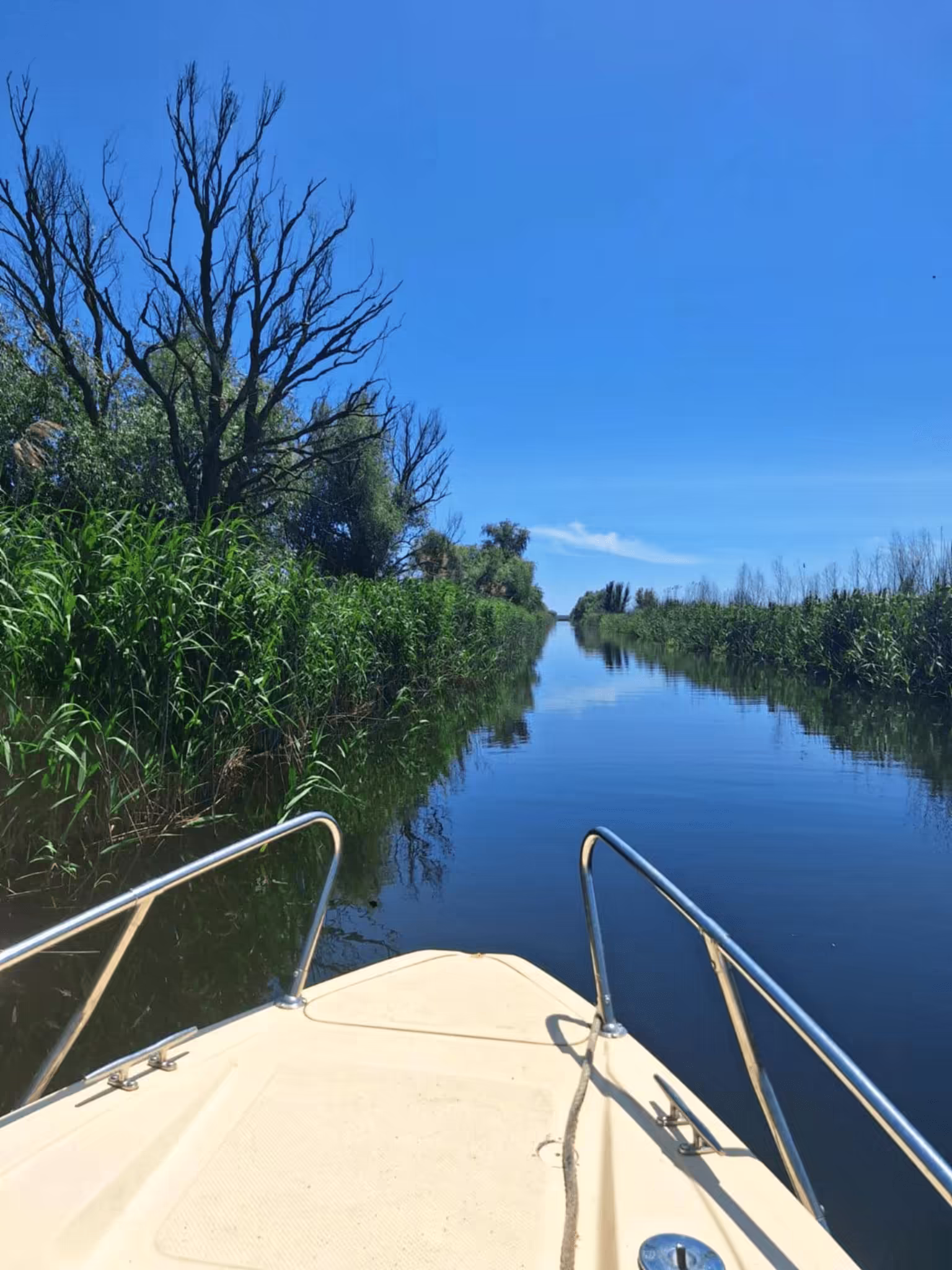 Excursie de o zi cu barca în Delta Dunării